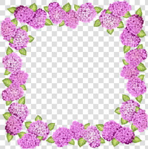   pink  flowers  flower  frame  frames  border  borders   Purple Flowers Borders And Frames  HD Png Download