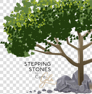 Stepping Stones Png  Transparent Png