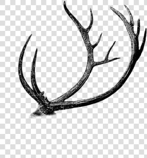 Free Png Antler Cutout By Mauvevrexel   Dibujos De Caza Mayor  Transparent Png