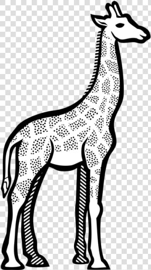 Monochrome Photography artwork deer   Clipart Image Of Giraffe  HD Png Download