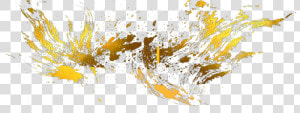 Gold Splash Png   Gold Splash Logo Design  Transparent Png