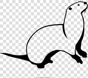 Otter Coloring Page   Otter  HD Png Download