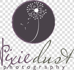 Pixie Dust Photography   Calligraphy  HD Png Download