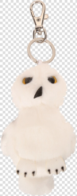 Hedwig  HD Png Download