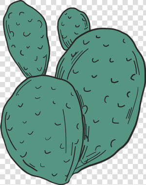 Eastern Prickly Pear  HD Png Download