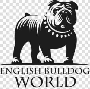 Burkburnett Bulldogs Logo  HD Png Download