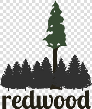 Redwood   Redwood Tree Clup Art  HD Png Download