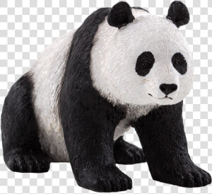 Oso Panda Png Stock   Giant Panda Vector Transparent  Png Download