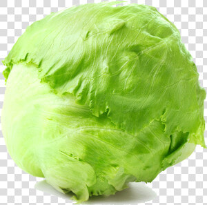 Transparent Lettuce Png   Lechuga Repollada  Png Download