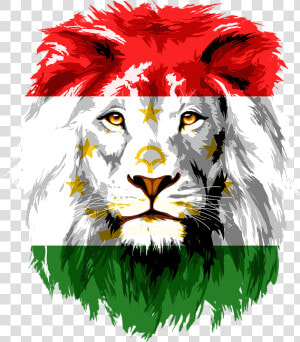 Lion  Iran  Tajikistan  Afghanistan  India  Khujand   Lion Head Clipart Png  Transparent Png