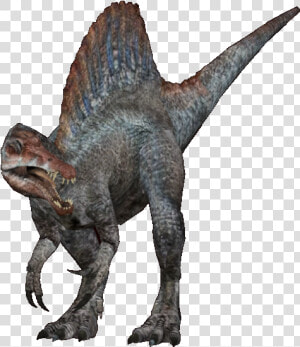 Spinosaurus Png  Transparent Png