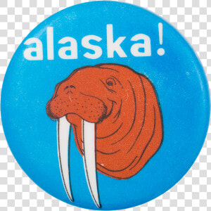 Alaska Walrus Events Button Museum   Illustration  HD Png Download