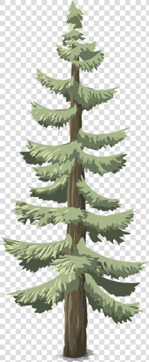 Arbol De Bosque Png  Transparent Png