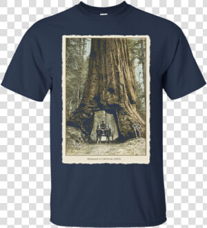 Transparent Redwood Tree Png   T Shirt Gucci 4xl  Png Download