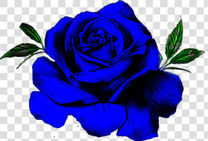  blue  rose  flower   Floribunda  HD Png Download