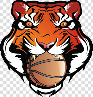 Transparent Tiger Face Clipart Black And White   Basketball Tiger Logo Png  Png Download