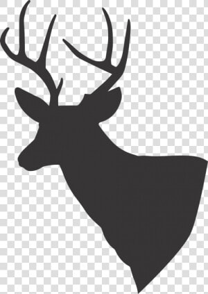 Deer Deer Silhouette Silhouette   Transparent Background Deer Silhouette Png  Png Download