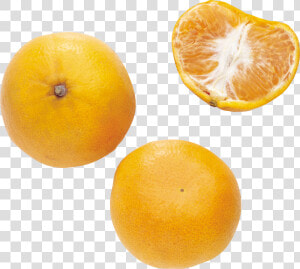 Mandarin Png   Clementine  Transparent Png