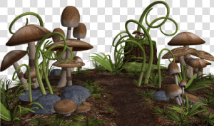 Mushrooms Along Path   Fantasy Mushrooms Png  Transparent Png