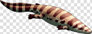 Transparent Giant Monster Png   Gila Monster  Png Download