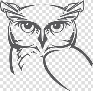 Transparent Wise Owl Clipart Black And White   White Owl Png Cartoon  Png Download