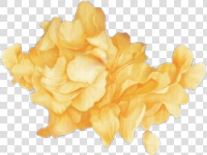  rose  petals  yellow  aesthetic  localcupcakeaesthetics   Troye Sivan Wild Png  Transparent Png