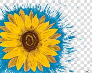 00000img 00000 Burst20190520180953373 Cover 3 Transparent   Sunflower  HD Png Download