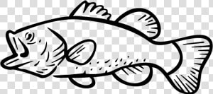 Bass Fishing Largemouth Bass Clip Art   Largemouth Bass Clip Art  HD Png Download