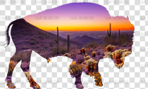 Beautiful Arizona Desert  HD Png Download