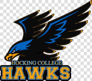 Hocking College Hawks  HD Png Download