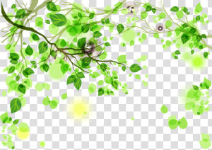 Green Background Png Download   Green Background  Transparent Png