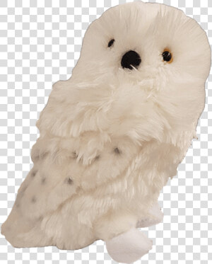 Hedwig Png  Transparent Png