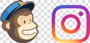 Mailchimp Evolution New Instagram Ad Campaigns   Mailchimp Logo  HD Png Download