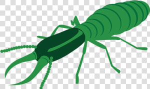 Termite Control   Insect  HD Png Download