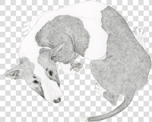 Transparent Energizer Bunny Png   Bull Terrier Spinning Drawing  Png Download