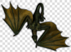 Wyvern Png  Transparent Png