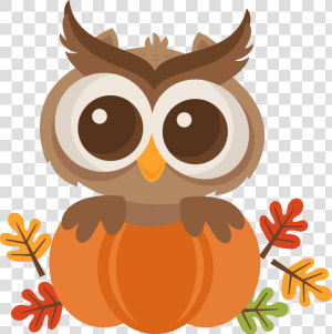 Mkc Owlinpumpkin Svg Baby Shower Fall  Fall Baby  Pumpkin   Cute Fall Owl Clipart  HD Png Download