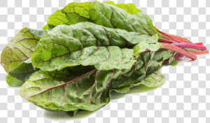 Swiss Chard Png Photo   Png Image Swiss Chard  Transparent Png