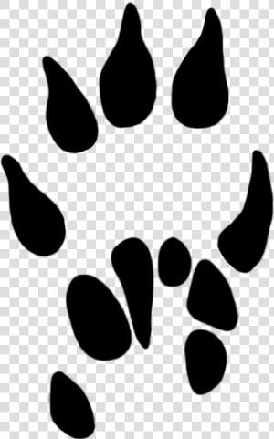 Paw Prints Clipart Mole Paw 13 Mm   Mole Rat Paw Print  HD Png Download