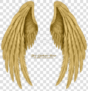 Transparent Angel Wings Png   Realistic Angel Wings Drawing  Png Download