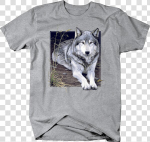 Grey Wolf Sitting On Wilderness Ground Staring Custom   Puppy  HD Png Download