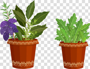 Transparent Potted Plant Png   Potted Plants Clip Art  Png Download