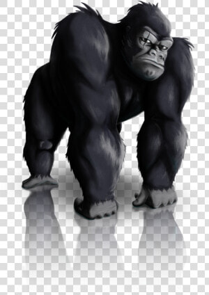 Silverback Gorilla Png   Portable Network Graphics  Transparent Png