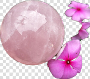 Large Pink Crystal Sphere Natural Specimen Rose Quartz   Impatiens  HD Png Download