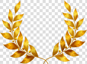 Free Png Download Laurel Leaves Clipart Png Photo Png   Transparent Laurel Leaf Png  Png Download