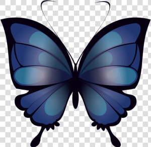 Mariposa Azul Blue By   Lycaenid  HD Png Download