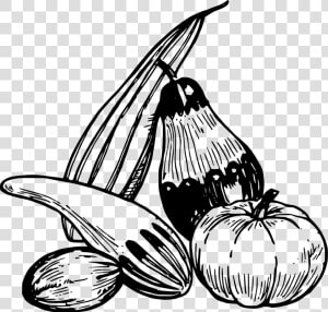 Gourds   Clip Art Vegetables  HD Png Download