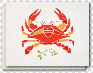 Blue Crab   Dungeness Crab  HD Png Download