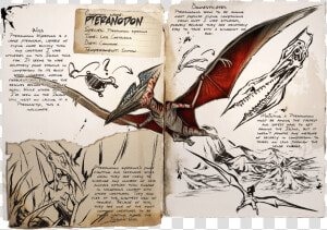 Ark Survival Evolved Pteranodon  HD Png Download