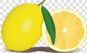 Lemon Png File   Lemon Clipart  Transparent Png